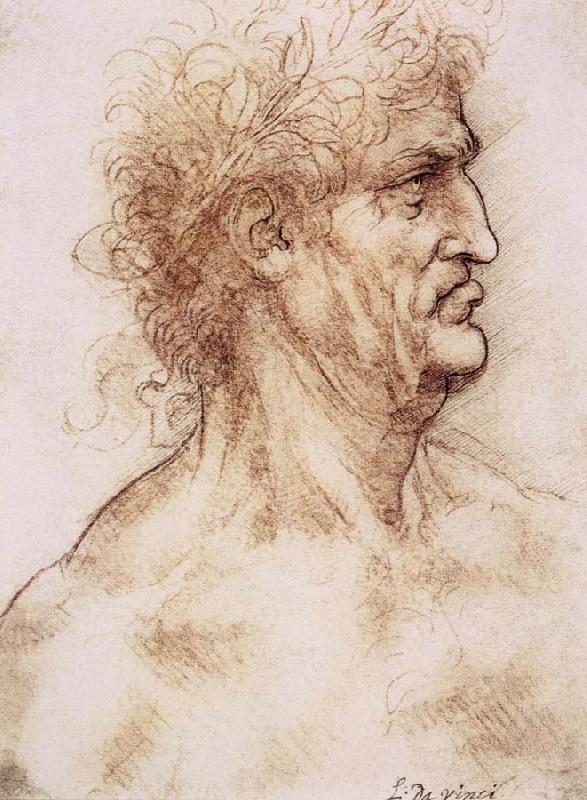 LEONARDO da Vinci Profile one with book leaves gekroten of old man Sweden oil painting art